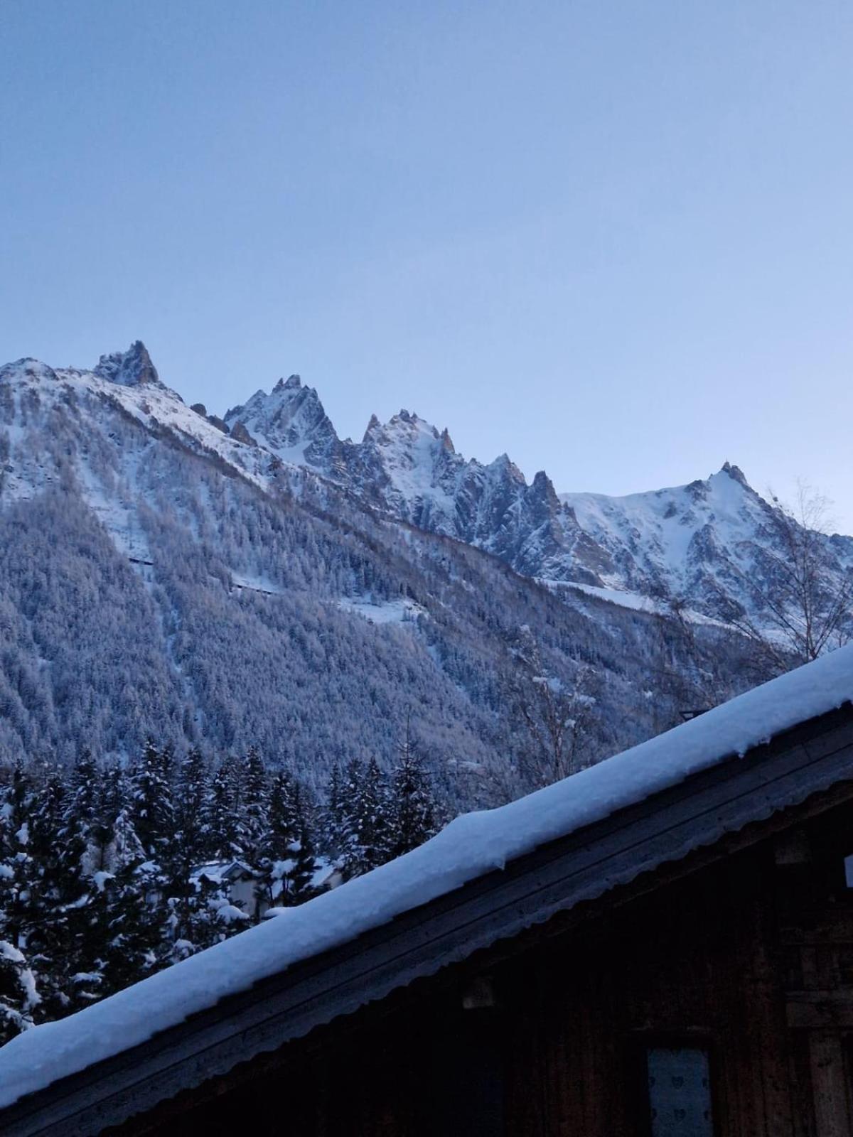 Appartement Ensoleille Aux Tines, Vue Massif Chamonix ภายนอก รูปภาพ